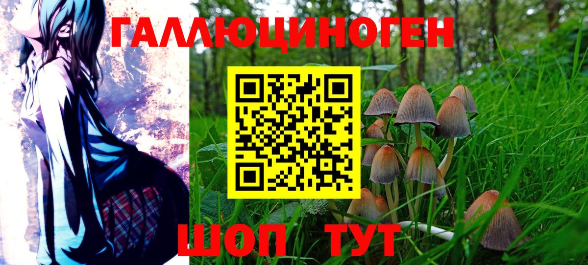Галлюциногенные грибы Magic Shrooms Черкесск