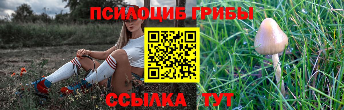 Псилоцибиновые грибы Magic Shrooms  Псилоцибиновые грибы прущие грибы  Черкесск  Вход с VPN 